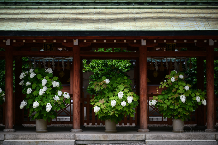 お写ん歩: 神社アーカイブ